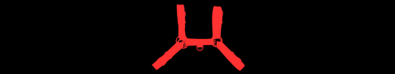Gear