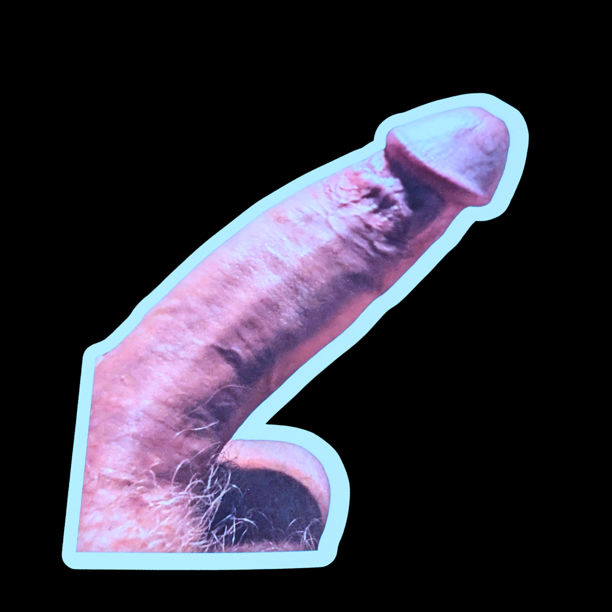 Dickers™ Dick Sticker Pack